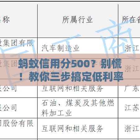 蚂蚁信用分500？别慌！教你三步搞定低利率贷款方案