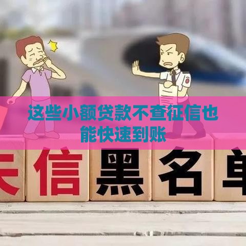 这些小额贷款不查征信也能快速到账