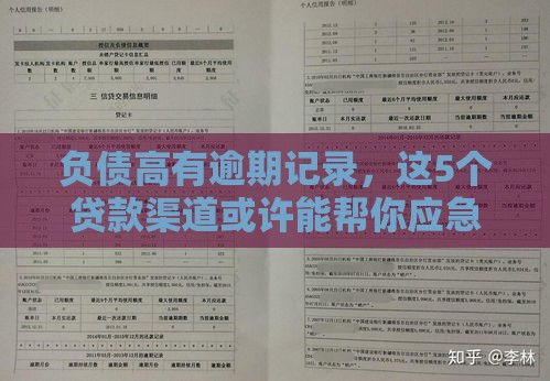 负债高有逾期记录，这5个贷款渠道或许能帮你应急