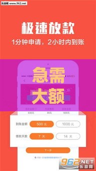 急需大额借款怎么办？这5个靠谱渠道帮你轻松解决资金难题