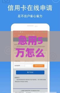 急用5万怎么贷？这几类贷款下款快、额度稳，手把手教你选对方式！