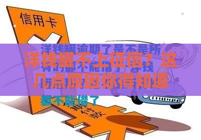 洋钱罐不上征信？这几点原因你得知道！