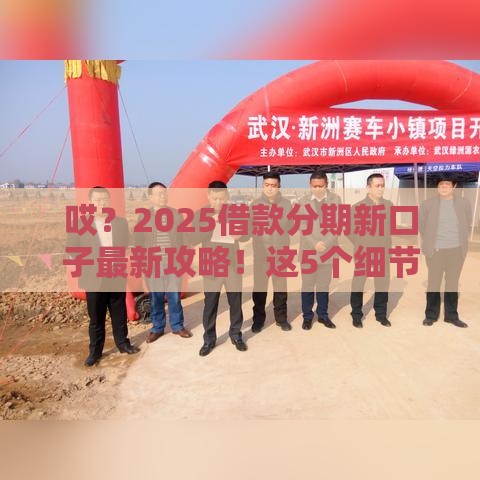 哎？2025借款分期新口子最新攻略！这5个细节必看