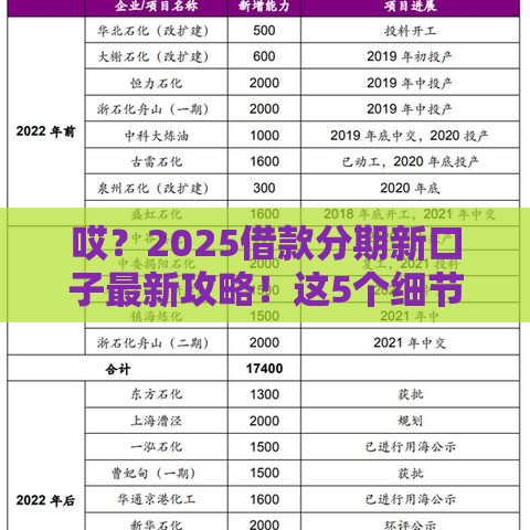 哎？2025借款分期新口子最新攻略！这5个细节必看