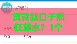 贷款新口子疯狂放水？1个审核超宽松渠道实测，急用钱必看攻略