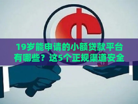 19岁能申请的小额贷款平台有哪些？这5个正规渠道安全又靠谱！