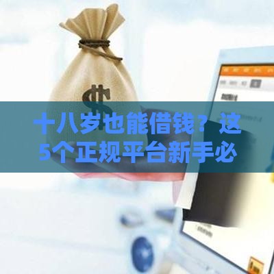 十八岁也能借钱？这5个正规平台新手必看！