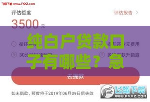 纯白户贷款口子有哪些？急用钱必看申请攻略