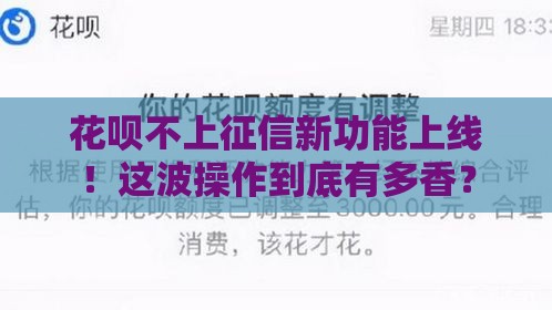 花呗不上征信新功能上线！这波操作到底有多香？