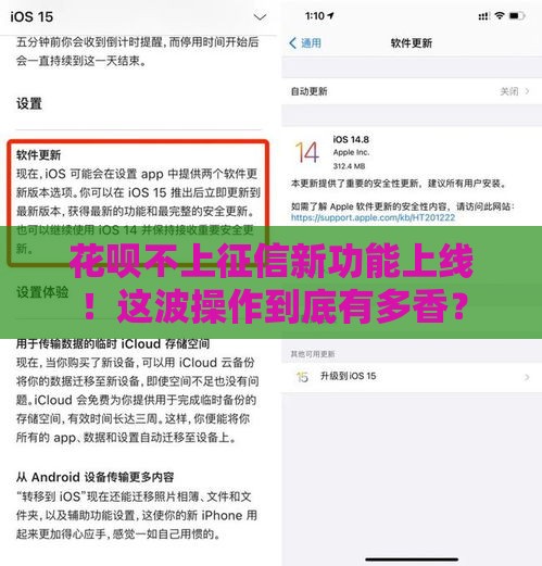 花呗不上征信新功能上线！这波操作到底有多香？