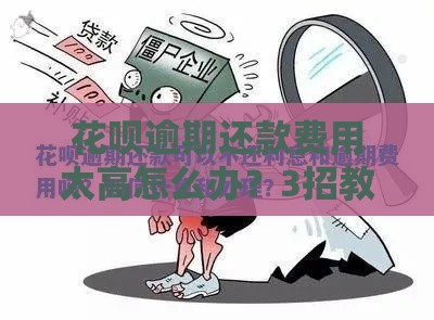 花呗逾期还款费用太高怎么办？3招教你正确处理不踩坑