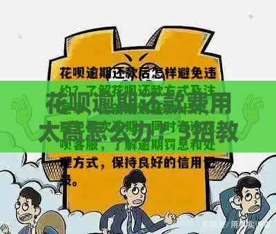 花呗逾期还款费用太高怎么办？3招教你正确处理不踩坑