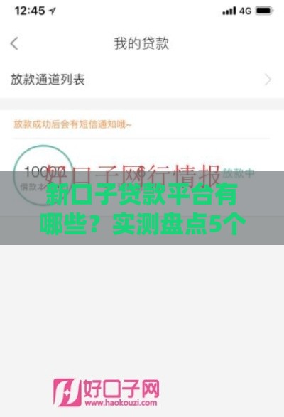 新口子贷款平台有哪些？实测盘点5个靠谱渠道避坑指南