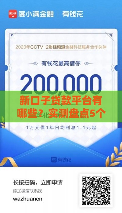 新口子贷款平台有哪些？实测盘点5个靠谱渠道避坑指南