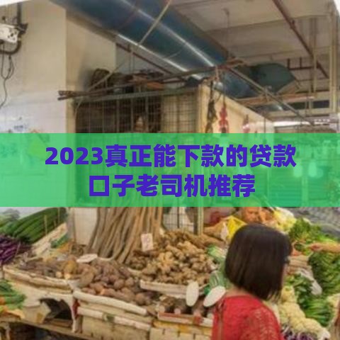 2023真正能下款的贷款口子老司机推荐