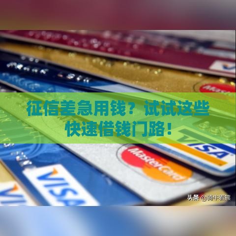 征信差急用钱？试试这些快速借钱门路！