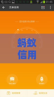 蚂蚁信用分570急用钱怎么办？低息贷款平台实测推荐