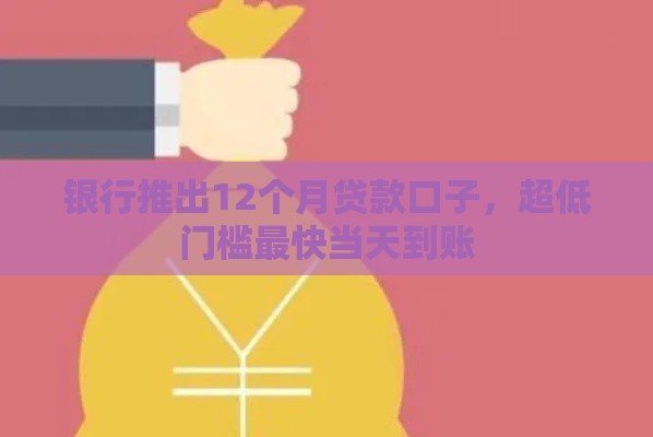 银行推出12个月贷款口子，超低门槛最快当天到账