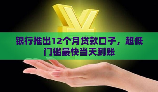 银行推出12个月贷款口子，超低门槛最快当天到账