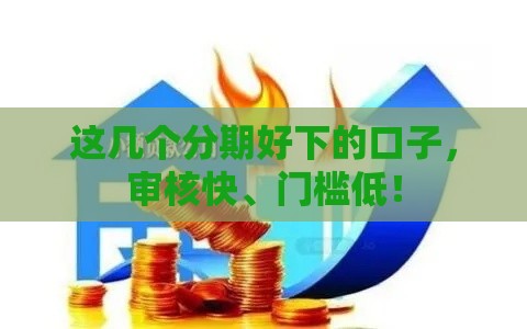 这几个分期好下的口子，审核快、门槛低！