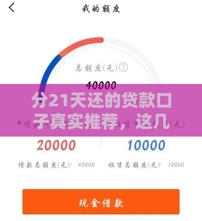 分21天还的贷款口子真实推荐，这几家靠谱