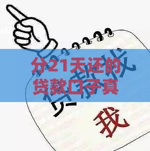 分21天还的贷款口子真实推荐，这几家靠谱