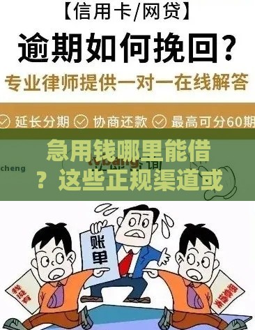 急用钱哪里能借？这些正规渠道或许能帮到你