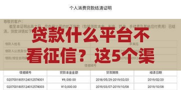 贷款什么平台不看征信？这5个渠道或许能帮到你！