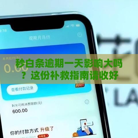 秒白条逾期一天影响大吗？这份补救指南请收好
