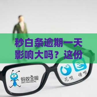 秒白条逾期一天影响大吗？这份补救指南请收好