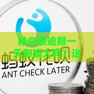 秒白条逾期一天影响大吗？这份补救指南请收好