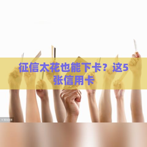 征信太花也能下卡？这5张信用卡