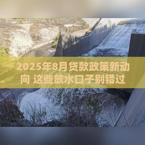 2025年8月贷款政策新动向 这些放水口子别错过