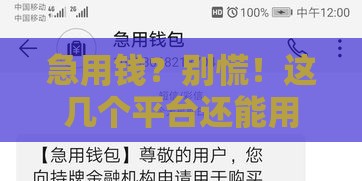 急用钱？别慌！这几个平台还能用