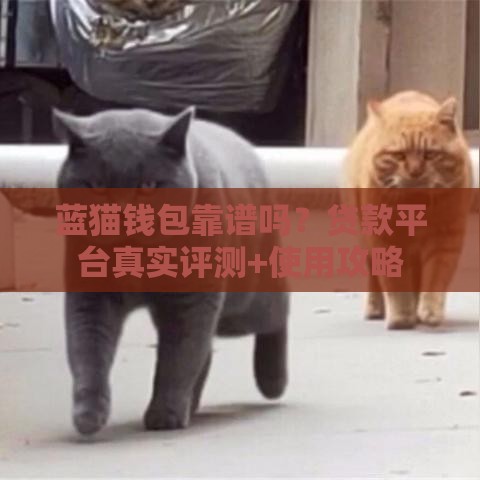 蓝猫钱包靠谱吗？贷款平台真实评测+使用攻略