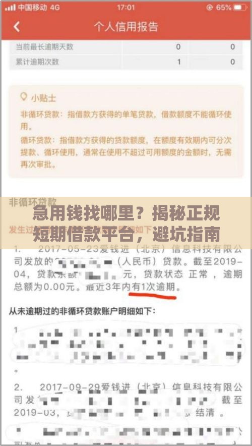 急用钱找哪里？揭秘正规短期借款平台，避坑指南必看！