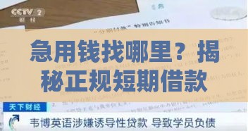 急用钱找哪里？揭秘正规短期借款平台，避坑指南必看！