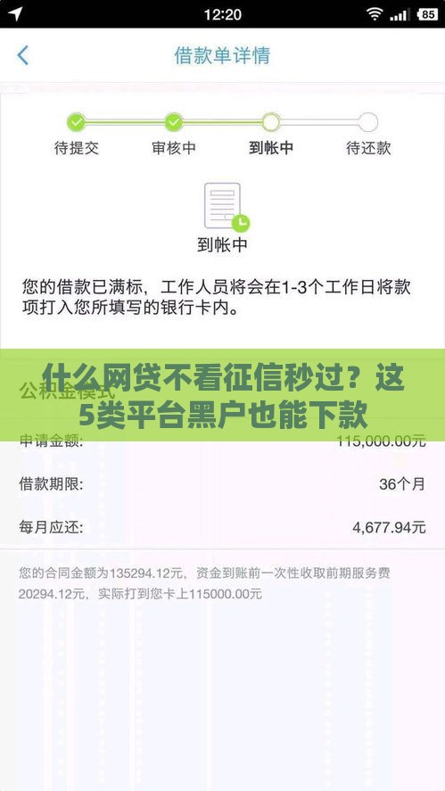 什么网贷不看征信秒过？这5类平台黑户也能下款