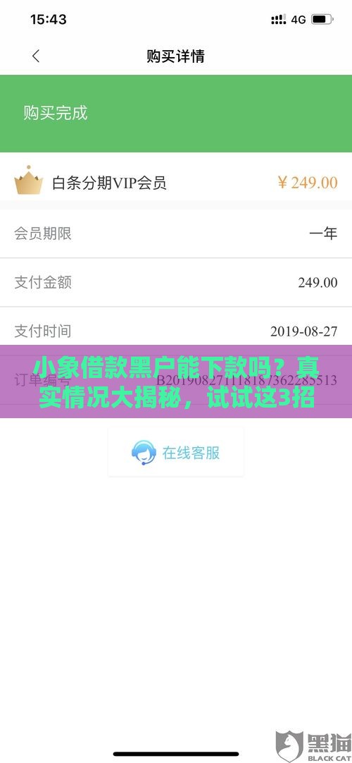小象借款黑户能下款吗？真实情况大揭秘，试试这3招有希望！