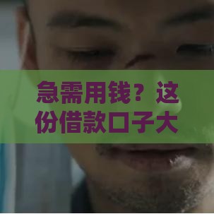 急需用钱？这份借款口子大全图片帮你快速找到靠谱贷款渠道！