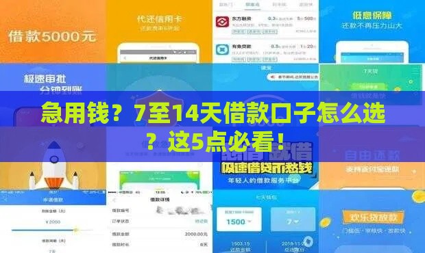 急用钱？7至14天借款口子怎么选？这5点必看！