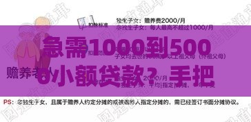 急需1000到5000小额贷款？手把手教你快速申请攻略！