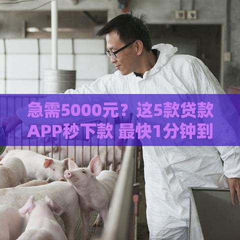 急需5000元？这5款贷款APP秒下款 最快1分钟到账！