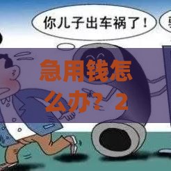 急用钱怎么办？24小时私人借钱电话_快速解决资金难题！
