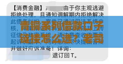 青铜系列借款口子链接怎么选？老司机教你避坑攻略！