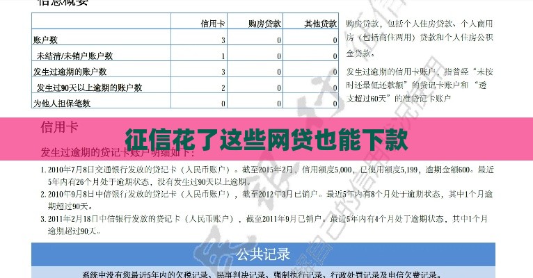 征信花了这些网贷也能下款