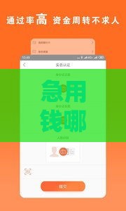 急用钱哪里能借到？这5个正规平台靠谱又安全！