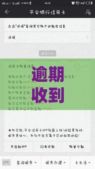 逾期收到蚂蚁智信短信？别慌！这3步教你正确处理贷款问题