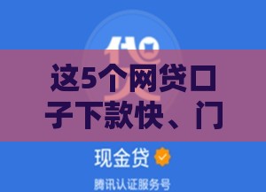 这5个网贷口子下款快、门槛低，新手也能轻松申请