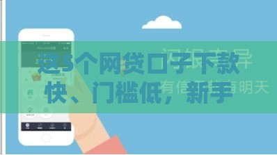 这5个网贷口子下款快、门槛低，新手也能轻松申请